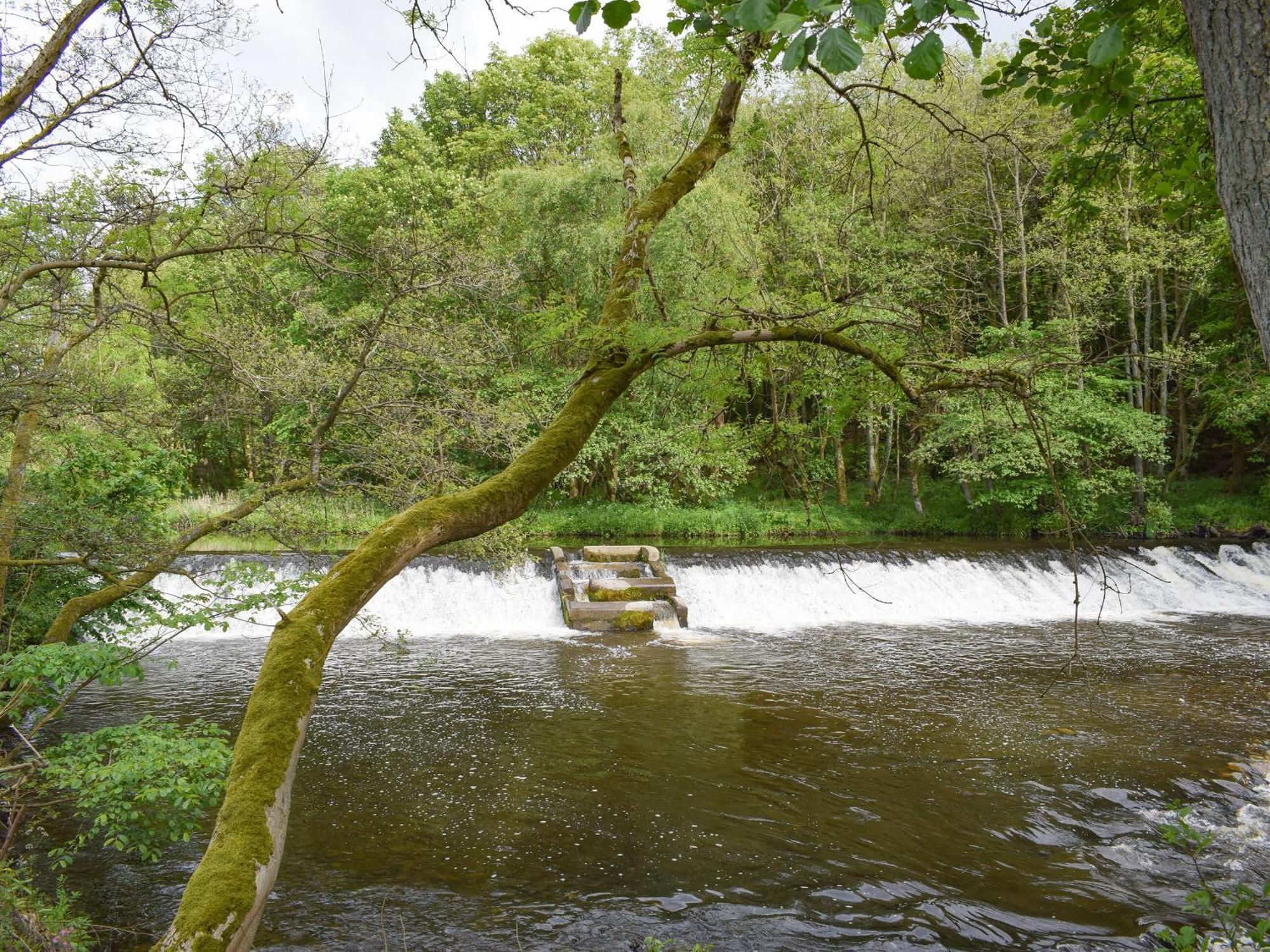 Bridge End Lodge دولار المظهر الخارجي الصورة
